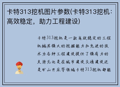 卡特313挖机图片参数(卡特313挖机：高效稳定，助力工程建设)
